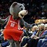 Image result for Bernie Miami Heat Dunking
