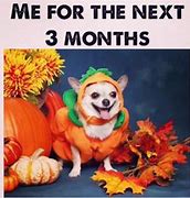 Image result for Pumpkin Fall Funny