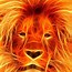 Image result for Fire Lion Wallpapers for Desktop