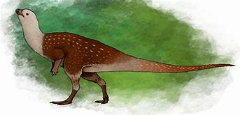 Image result for co_to_za_zephyrosaurus