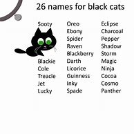 Image result for What Are Some Good Names for Cats