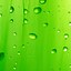 Image result for Monochrome Green Phone Wallpaper