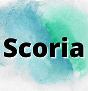 Image result for schicoria