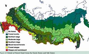 Image result for Russia Forest Coverage Map