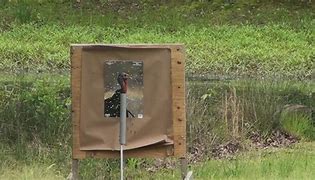 Image result for Long Beard XR Pattern at 70 Yards