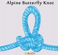 Image result for In Line Butterfly Knot