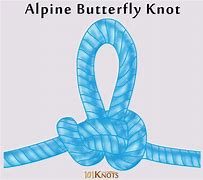 Image result for Butterfly Loop