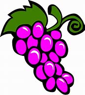 Image result for Grapes Cartoon Png