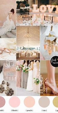 Image result for Rose Gold and Pink Colors