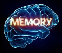 Image result for How Memory Works in the Human Brain