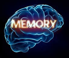 Image result for How Memory Works in Our Brain