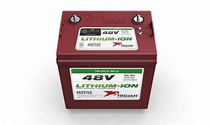 Image result for 48V Lithium Ion Golf Cart Battery