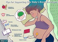 Image result for Baby Brain Facts