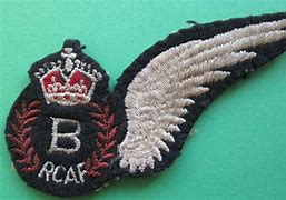 Image result for Canadian Air Force Aircraft