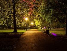 Image result for Night Park View