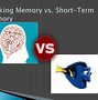 Image result for Past Memory Definition