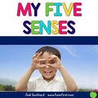 Image result for Five Senses Cartoon