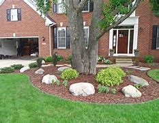 Image result for Front Yard Trees