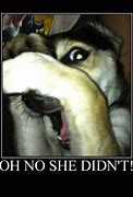 Image result for OH Yes She Did Meme