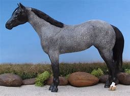 Image result for Terlingua Horse