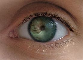 Image result for Babby Know Your Meme