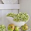 Image result for Apple Tree Decor