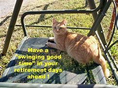 Image result for Retirement Cat