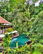 Image result for Ubud Bali Resorts