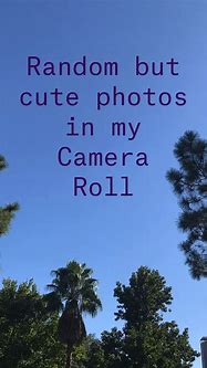 Image result for My Camera Roll Pictures