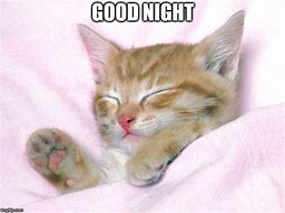 Image result for Good Night Kitty Meme