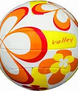 Image result for Volleyball Flower