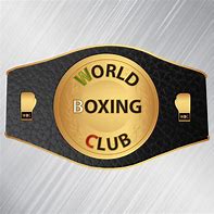 Image result for Pro Boxing