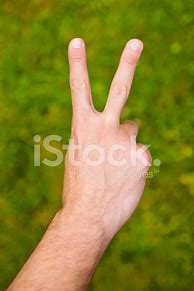 Image result for 2 Fingers Up