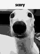 Image result for Scared Dog Meme GIF