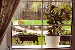 Image result for Window Garden View