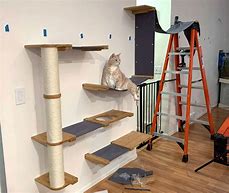 Image result for Cat Ladder with Bed On Top
