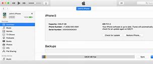 Image result for Software Update On iPhone 11