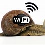 Image result for Wifi Slow Clip Art