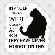 Image result for Cat Worship Meme