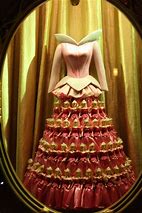 Image result for Princess Aurora Dress Up Set