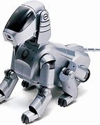 Image result for Aibo 110 Playing