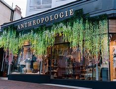 Image result for Creative Retail Window Displays