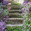 Image result for Inexpensive Garden Path Ideas