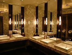 Image result for Luxurious Communal Toilet Ideas