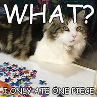 Image result for Funny Puzzle Memes