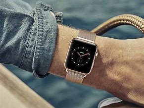 Image result for Stainless Steel Apple Watch Milanese