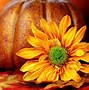 Image result for Pumpkins and Flowers