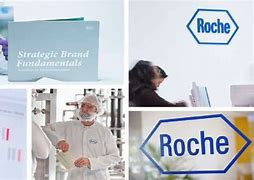 Image result for Roche Brand Book