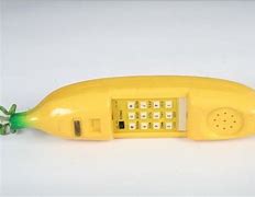Image result for Weird Food House Phone