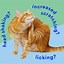 Image result for Cat Food Allergies